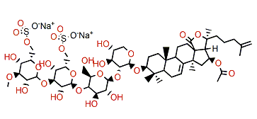 Okhotoside B3